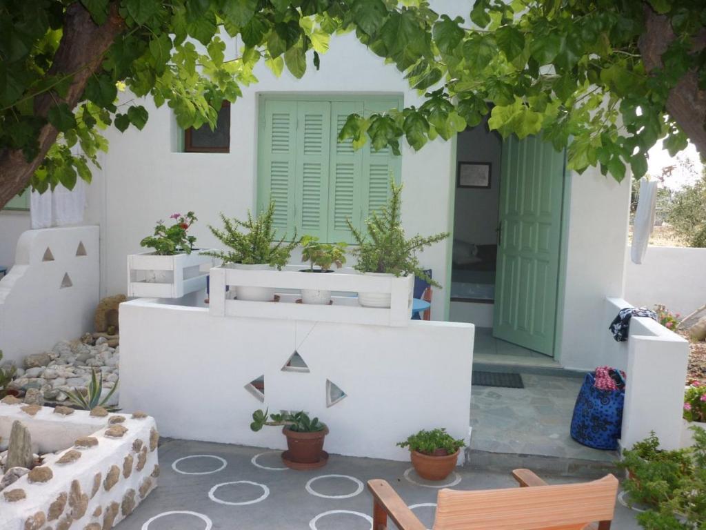 Skyros Panorama Studios Номер фото