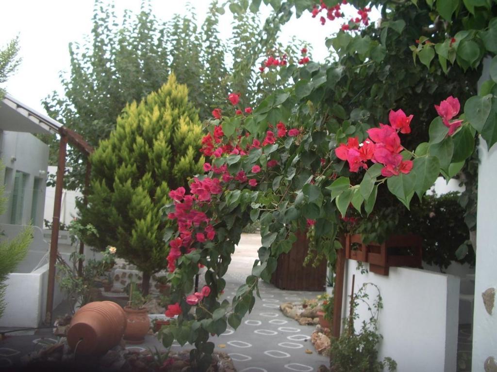 Skyros Panorama Studios Экстерьер фото